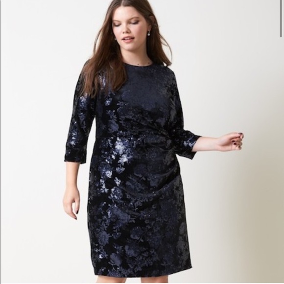 Eliza J Dresses & Skirts - NWT Eliza J Sequin Velvet Sheath Side Ruched